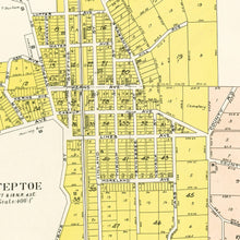 Load image into Gallery viewer, Vintage Map of Steptoe, Washington 1910