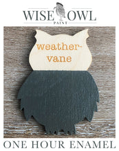 Load image into Gallery viewer, Wise Owl One Hour Enamel Paint - Weathervane