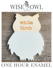 Load image into Gallery viewer, Wise Owl One Hour Enamel Paint - White Birch