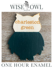 Load image into Gallery viewer, Wise Owl One Hour Enamel Paint - Charleston Green