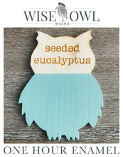 Load image into Gallery viewer, Wise Owl One Hour Enamel Paint - Seeded Eucalyptus