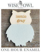 Load image into Gallery viewer, Wise Owl One Hour Enamel Paint - Iconic Gray