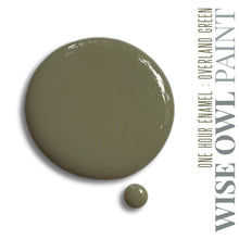 Load image into Gallery viewer, Wise Owl One Hour Enamel Paint - "New" Overland Green