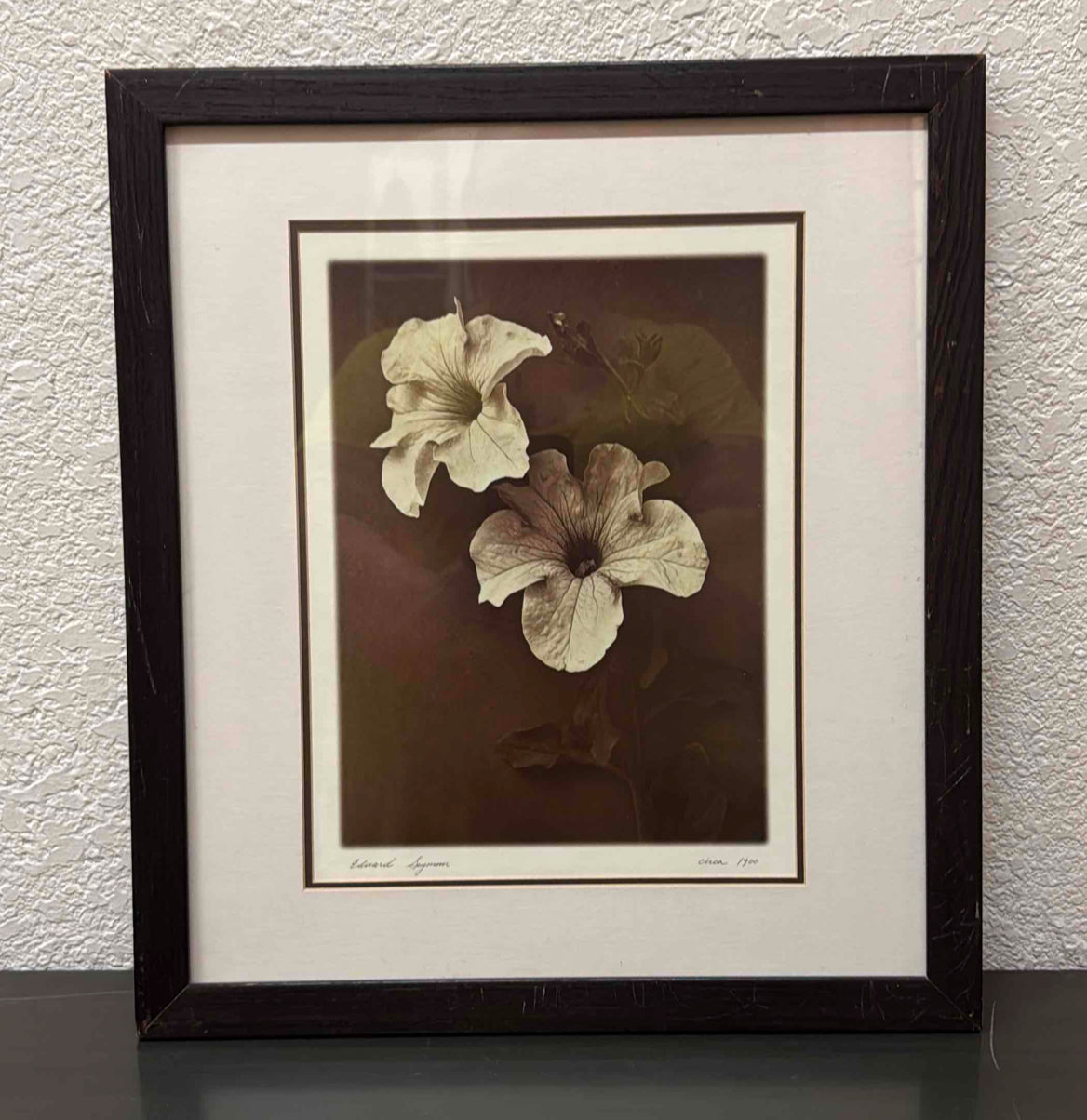 Sepia-toned Photograph of Petunias by Edward Seymour, Circa 1900