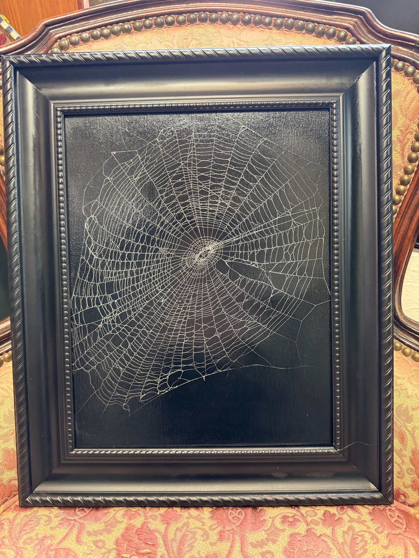 Spiderweb Taxidermy Original Art