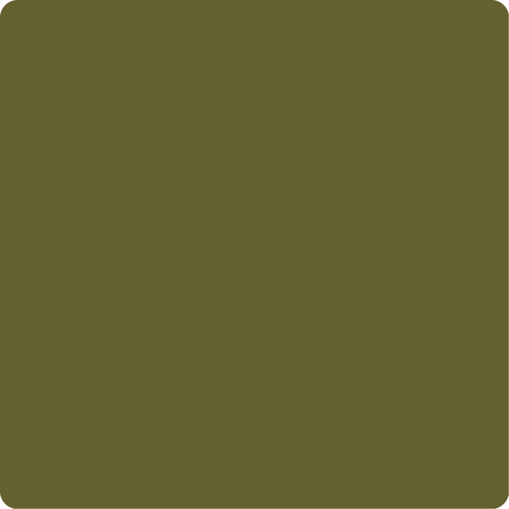 Wise Owl One Hour Enamel Paint - "New" Spanish Olive