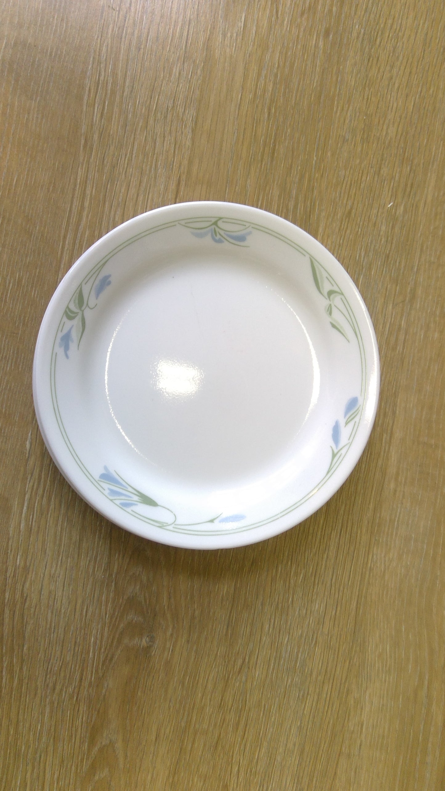 4pc Blue Wreath Salad Plates