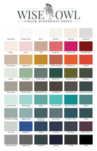 Load image into Gallery viewer, Wise Owl Chalk Synthesis Paint 16oz - Snow Owl
