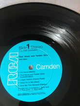Load image into Gallery viewer, 1968 RCA Camden John Gary That Warm and Tender Glow Record Album Vinyl