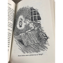 Load image into Gallery viewer, 1994 Nancy Drew The Bungalow Mystery By Carolyn Keene