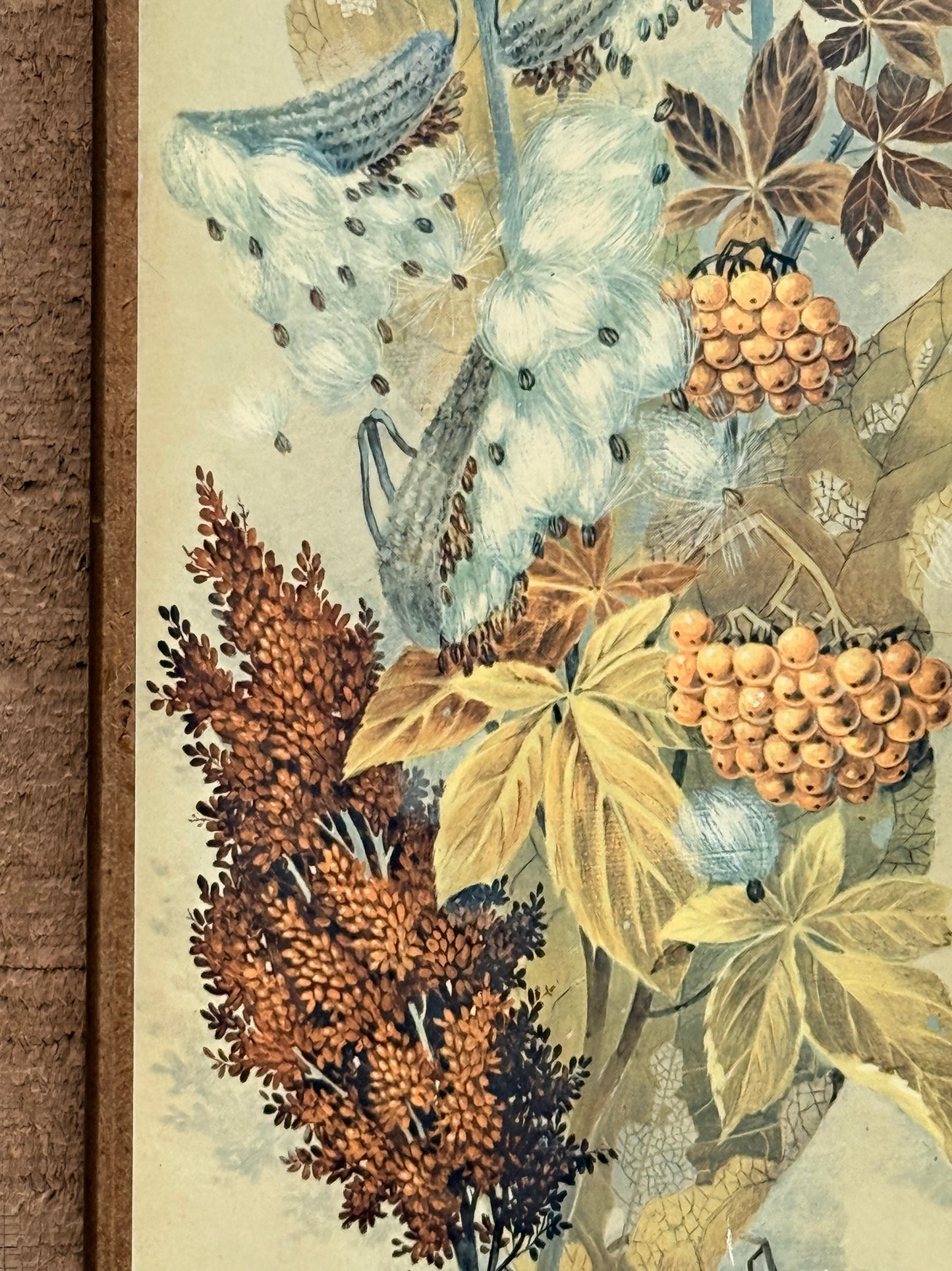 Vintage Robert Laessig Milkweed Botanical Wood Panel Print | Mid-Century Floral Wall Art