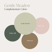 Load image into Gallery viewer, Country Chic Paint - Gentle Meadow - Chalk Style Paint for Furniture &amp; Home Decor
