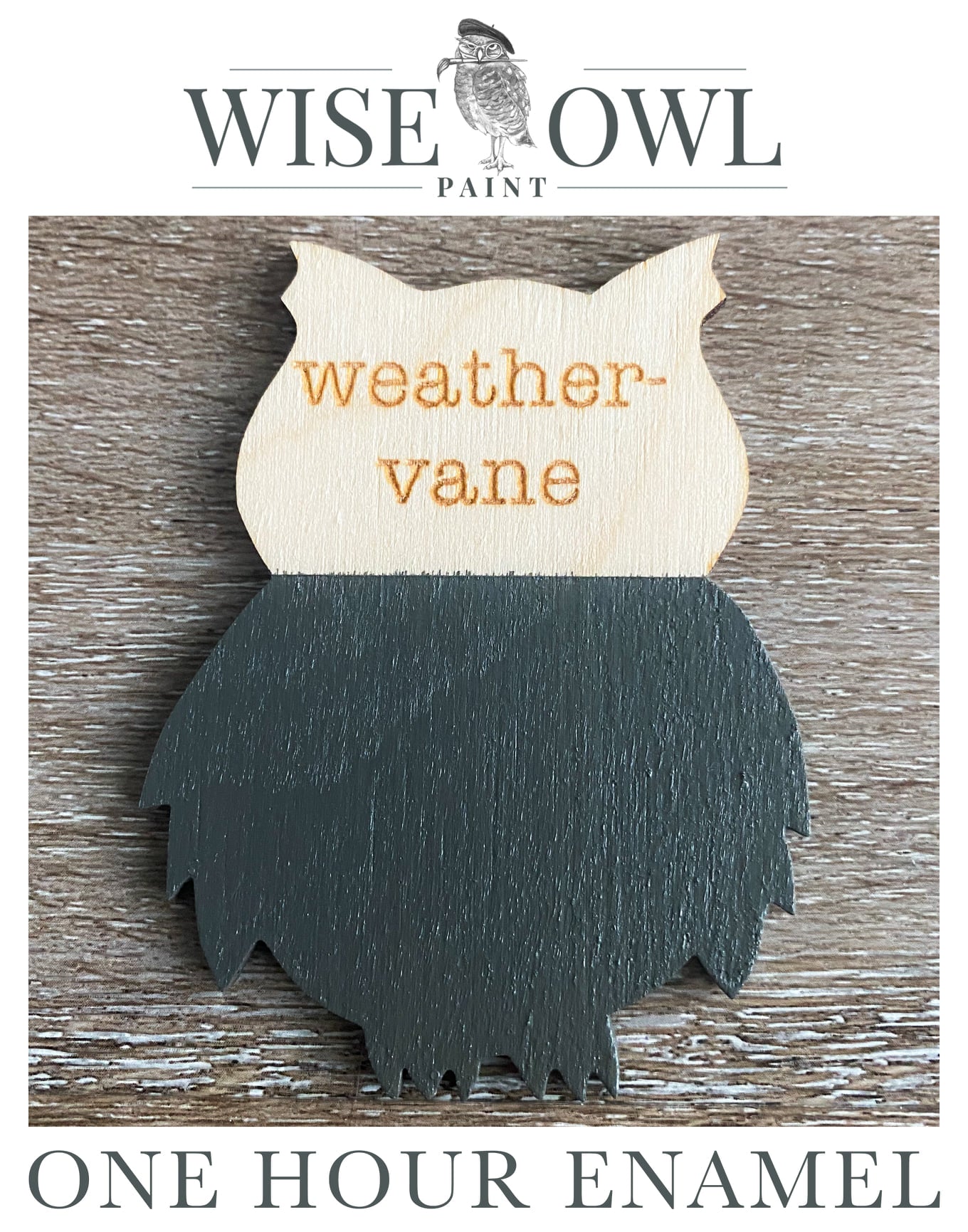 Wise Owl One Hour Enamel Paint - Weathervane
