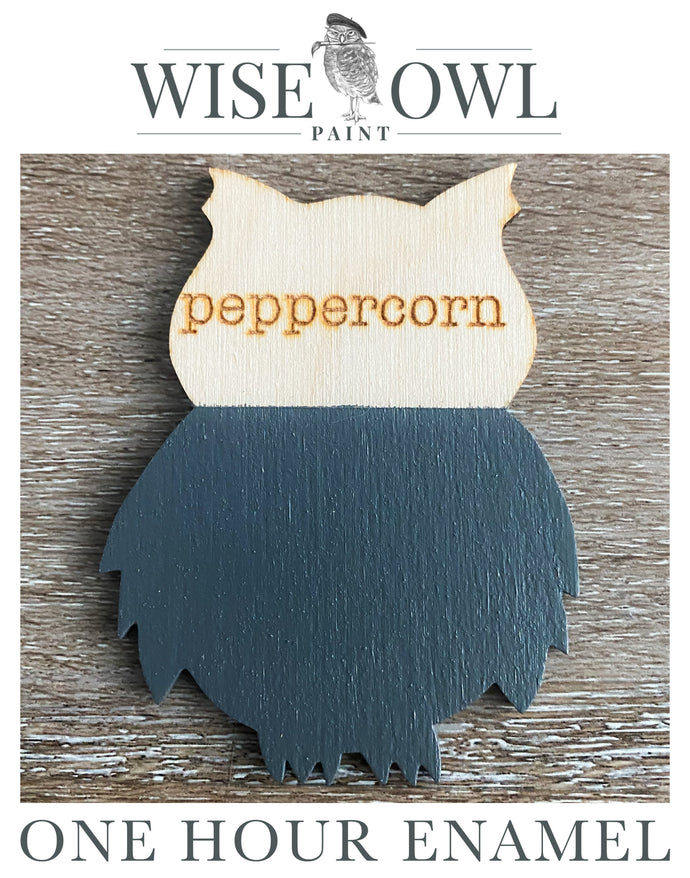 Wise Owl One Hour Enamel Paint - Peppercorn