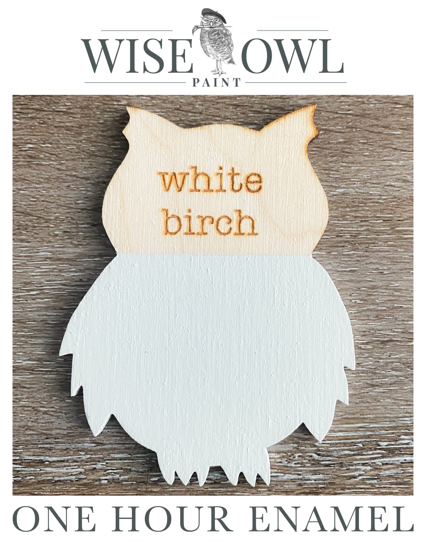 Wise Owl One Hour Enamel Paint - White Birch