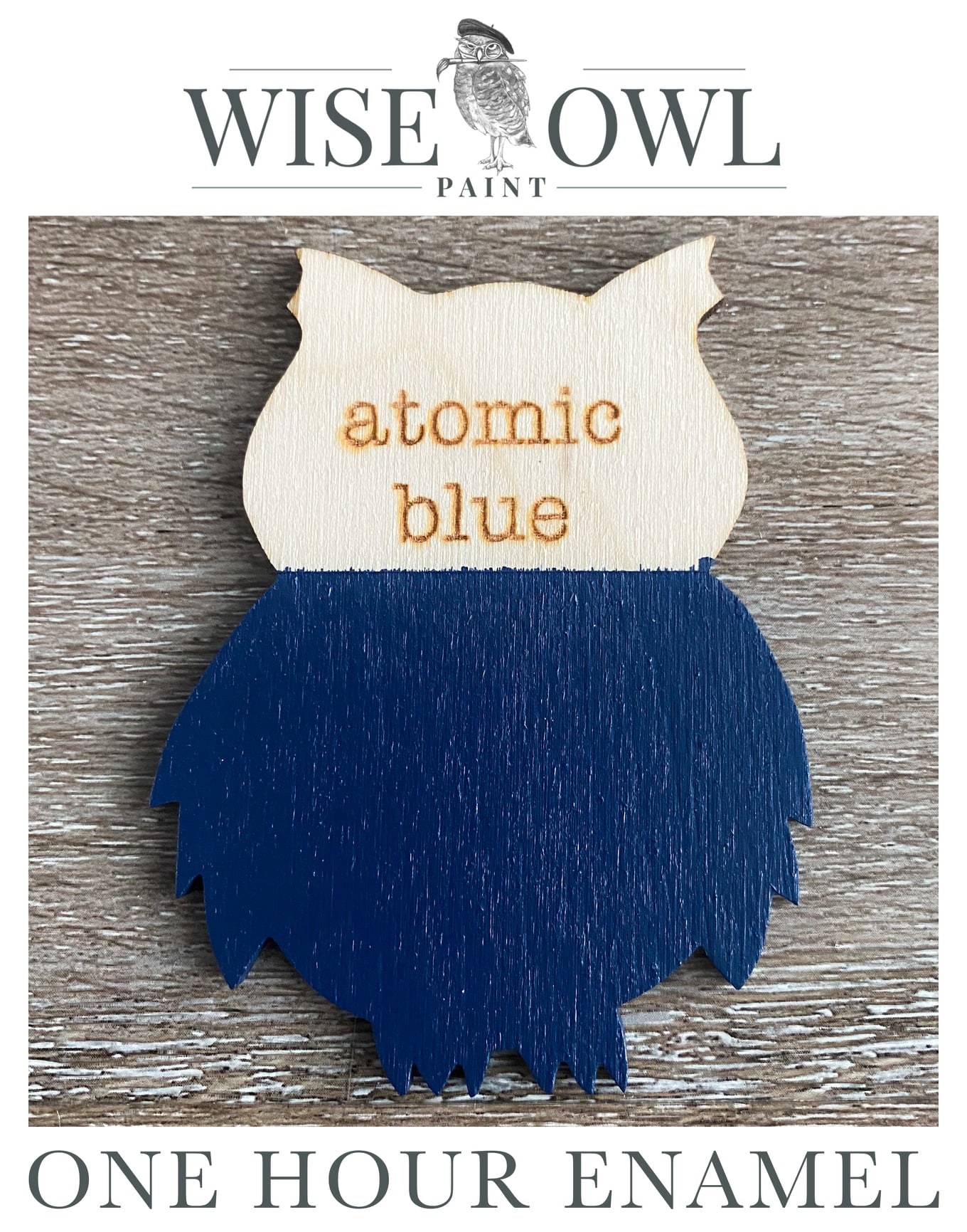 Wise Owl One Hour Enamel Paint - Atomic Blue