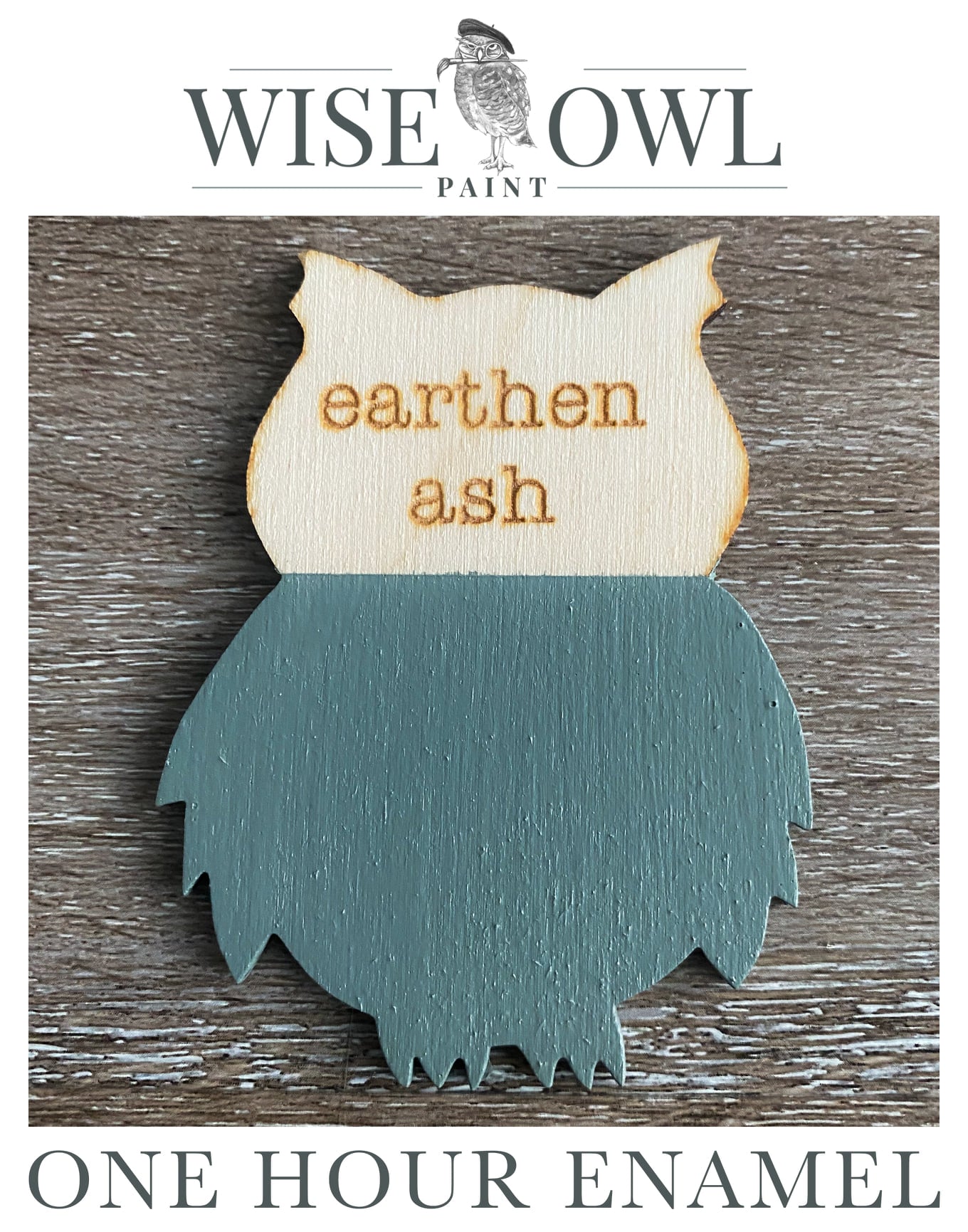 Wise Owl One Hour Enamel Paint - Earthen Ash