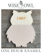 Load image into Gallery viewer, Wise Owl One Hour Enamel Paint - 1987
