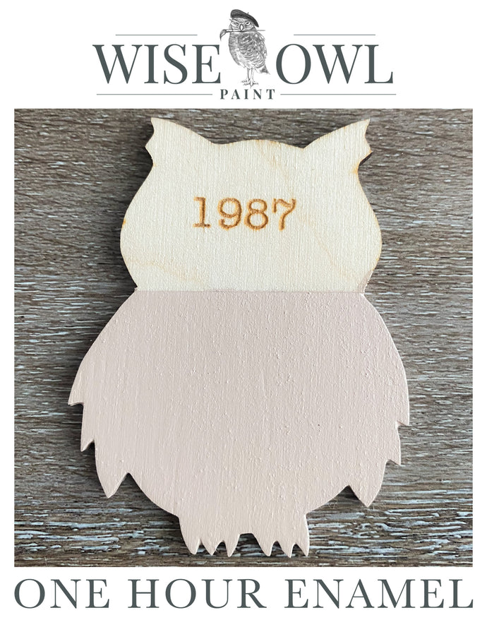 Wise Owl One Hour Enamel Paint - 1987