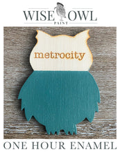 Load image into Gallery viewer, Wise Owl One Hour Enamel Paint - Metrocity
