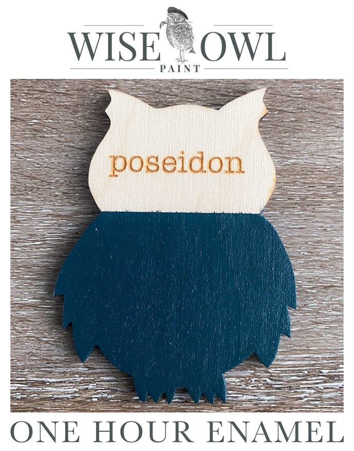 Wise Owl One Hour Enamel Paint - Poseidon