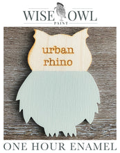 Load image into Gallery viewer, Wise Owl One Hour Enamel Paint - Urban Rhino
