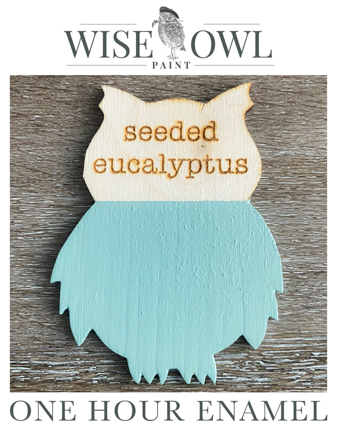 Wise Owl One Hour Enamel Paint - Seeded Eucalyptus