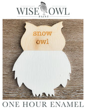 Load image into Gallery viewer, Wise Owl One Hour Enamel Paint - Snow Owl
