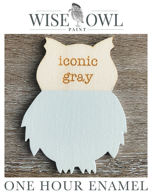Wise Owl One Hour Enamel Paint - Iconic Gray