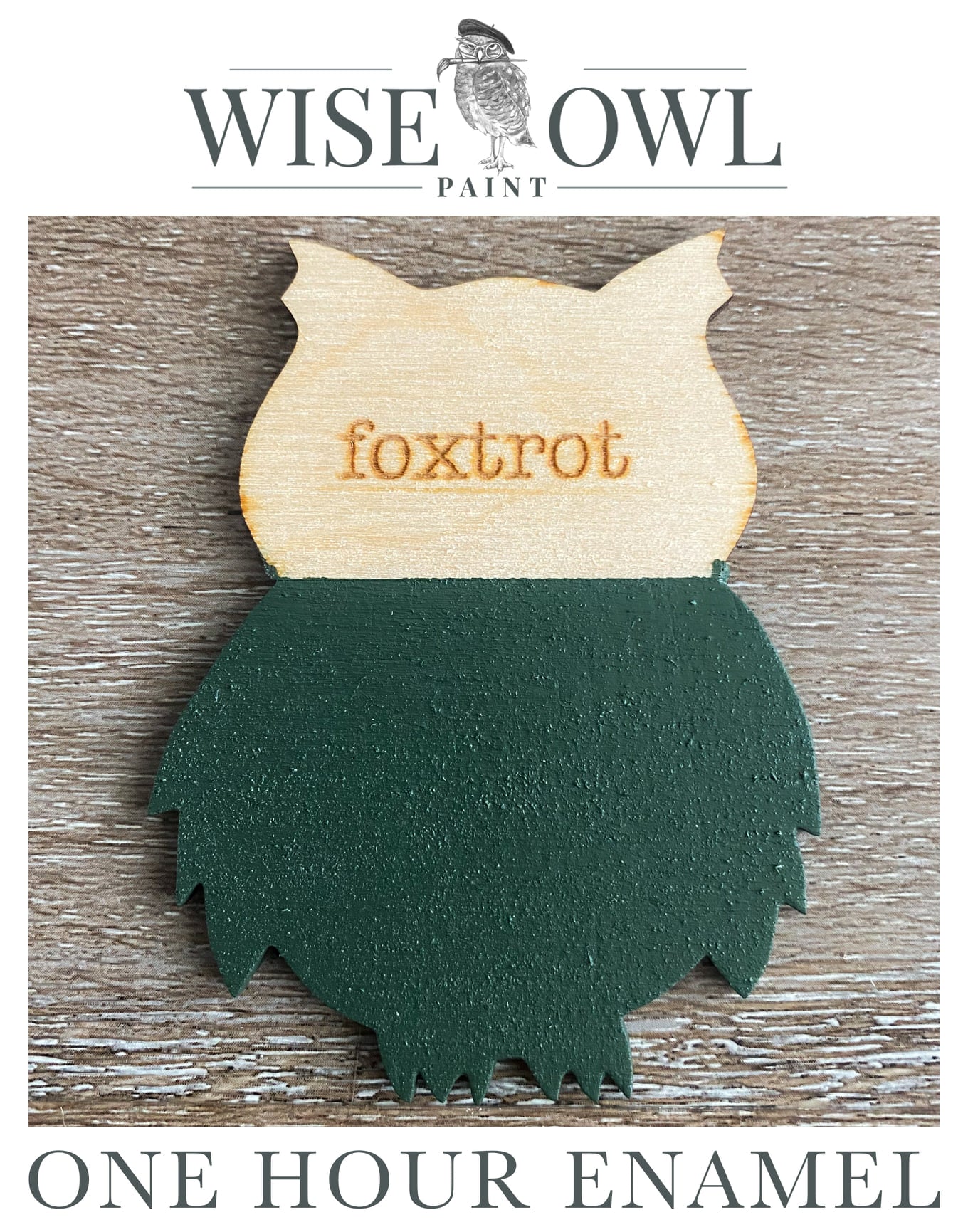 Wise Owl One Hour Enamel Paint - Foxtrot
