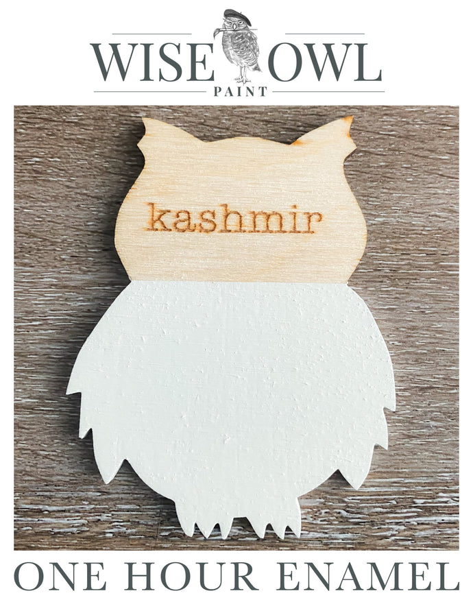 Wise Owl One Hour Enamel Paint - Kashmir