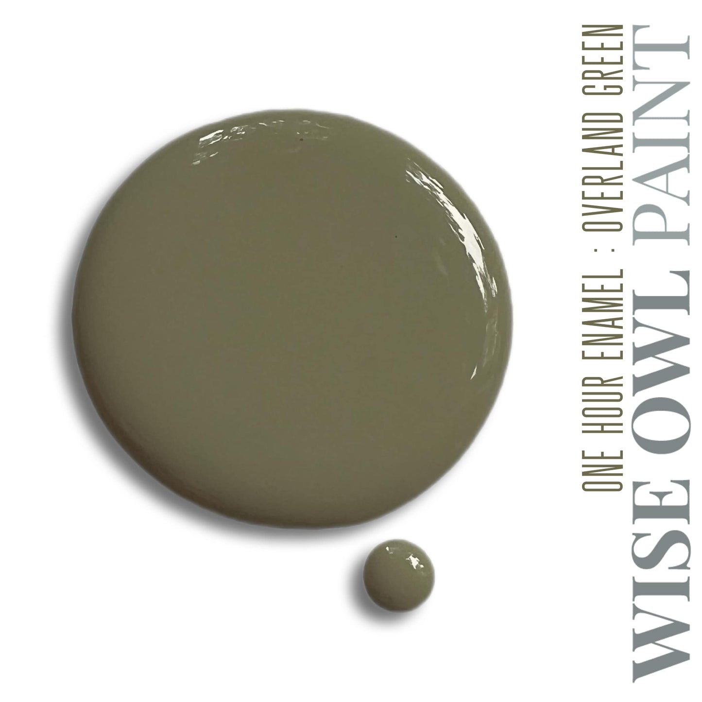 Wise Owl One Hour Enamel Paint - "New" Overland Green