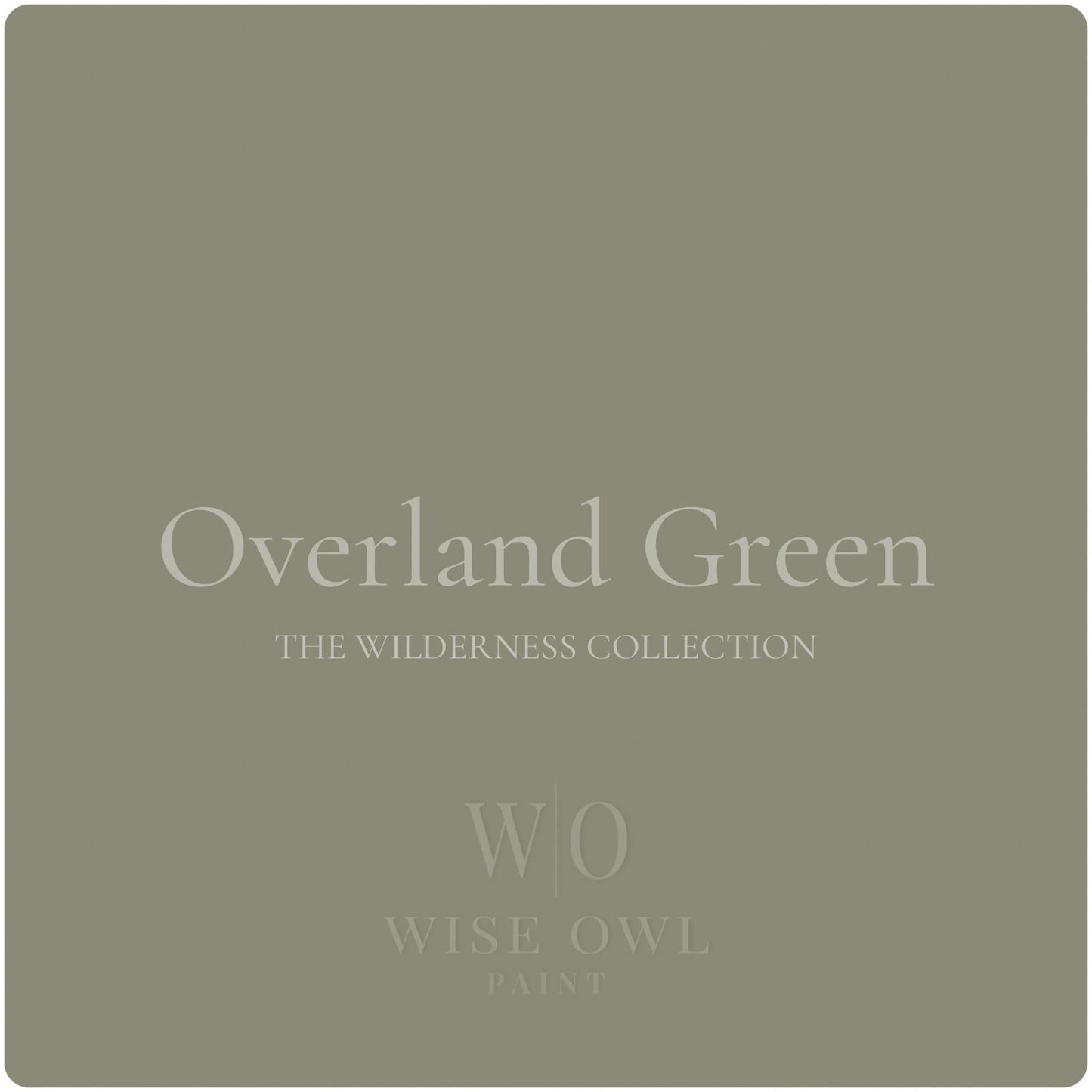 Wise Owl One Hour Enamel Paint - "New" Overland Green