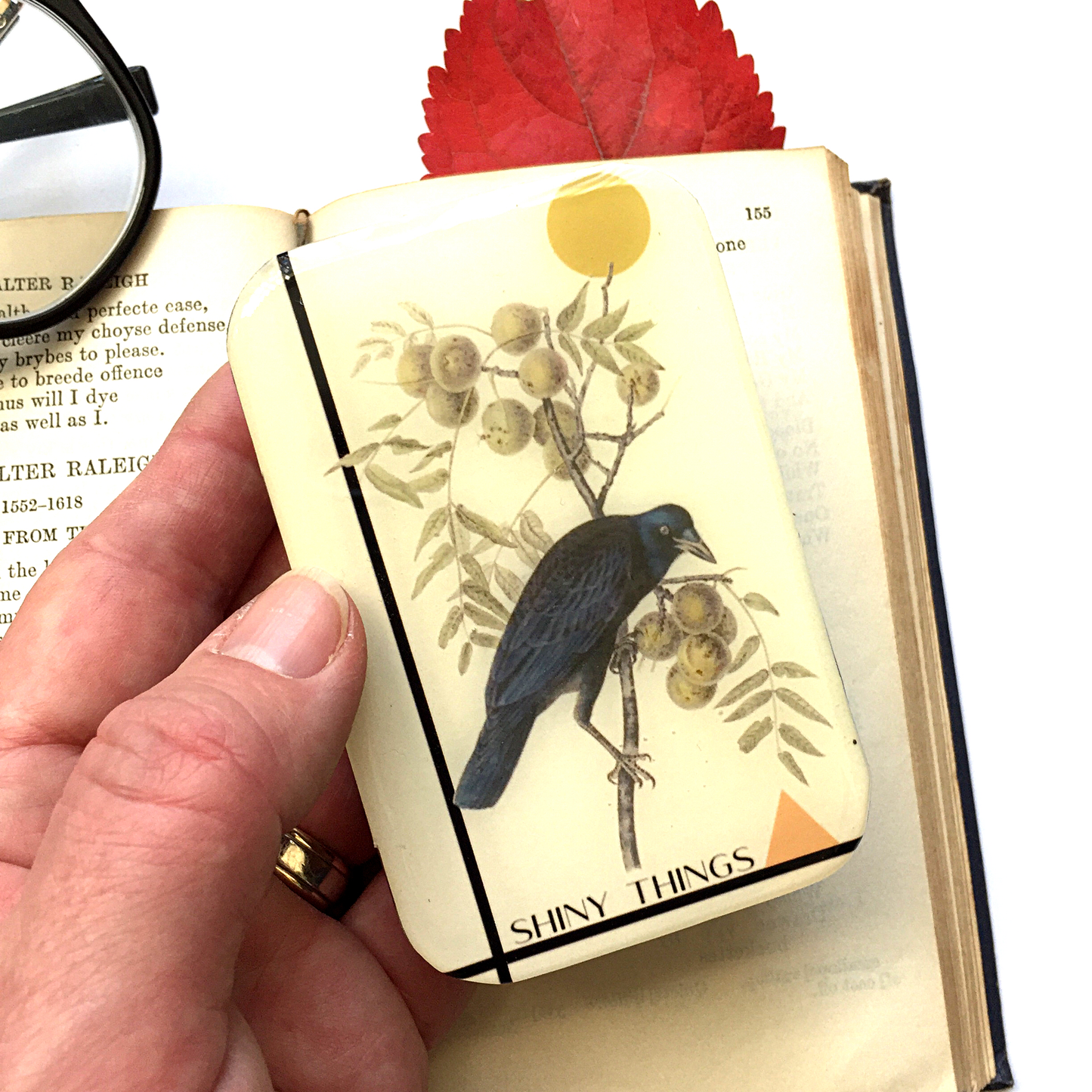 Firefly Notes - Crow Tin, Shiny Things Tin: Small