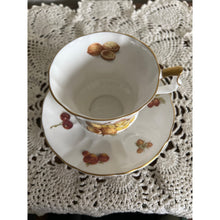 Load image into Gallery viewer, Royal Windsor Fine Bone China England Fruit Nut Gold Trim Teacup &amp; Saucer
