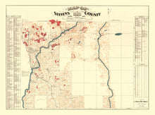 Load image into Gallery viewer, Vintage Map of Stevens County, Washington 1900
