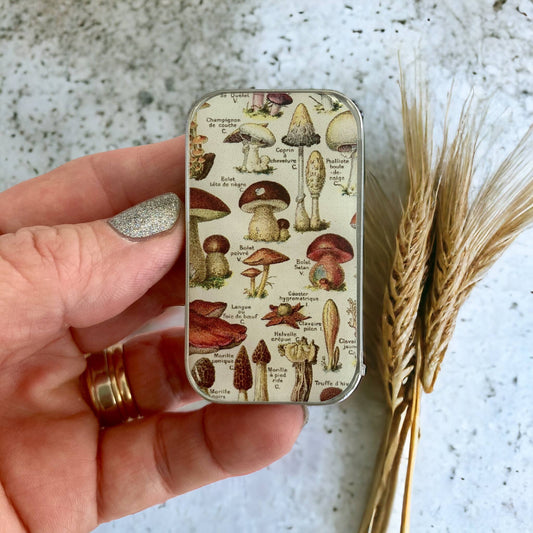 Firefly Notes - Mushroom Storage Tin: Small