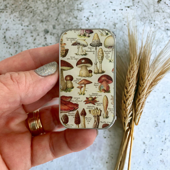 Firefly Notes - Mushroom Storage Tin: Small