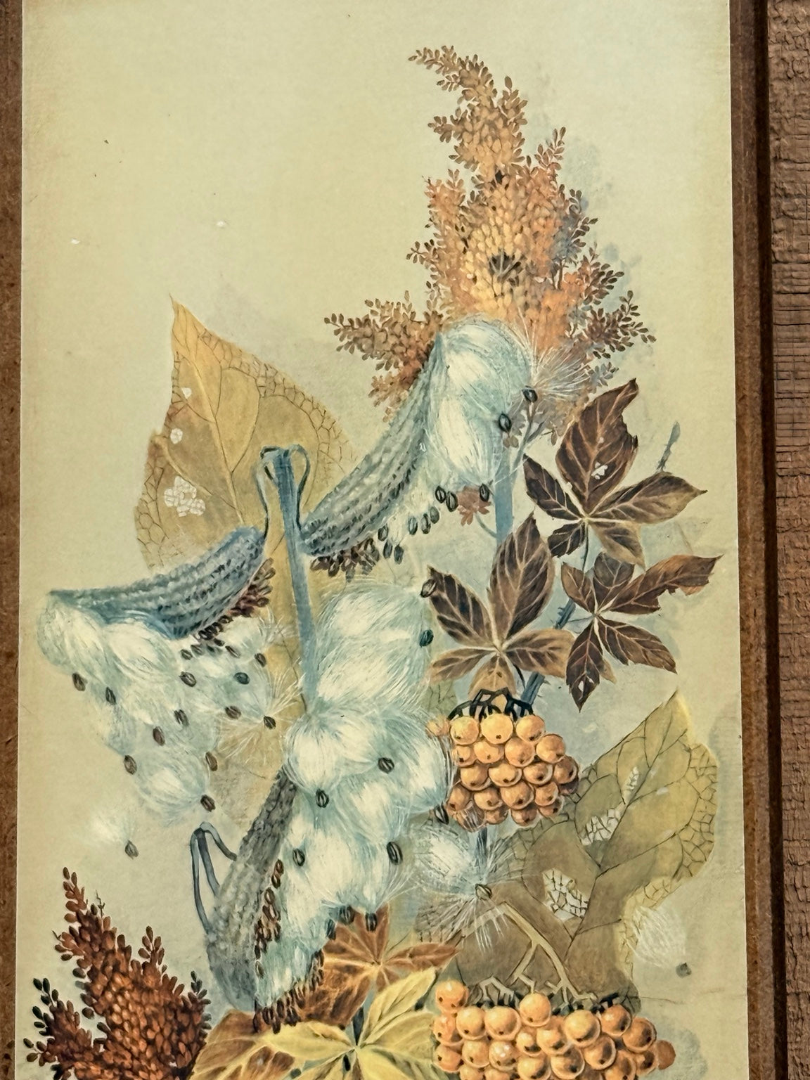 Vintage Robert Laessig Milkweed Botanical Wood Panel Print | Mid-Century Floral Wall Art