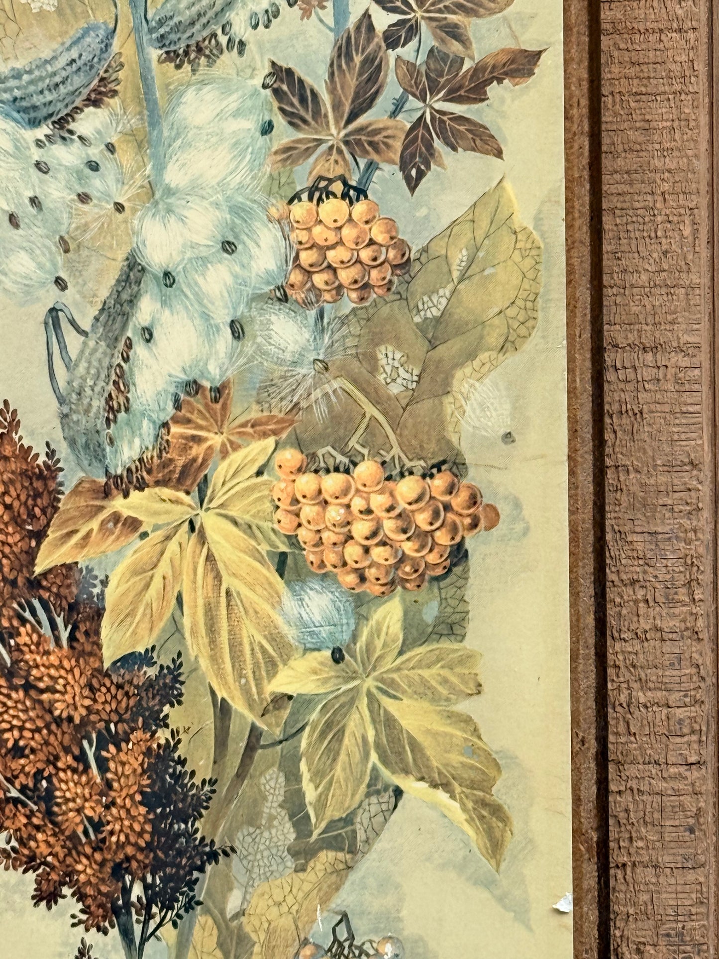 Vintage Robert Laessig Milkweed Botanical Wood Panel Print | Mid-Century Floral Wall Art