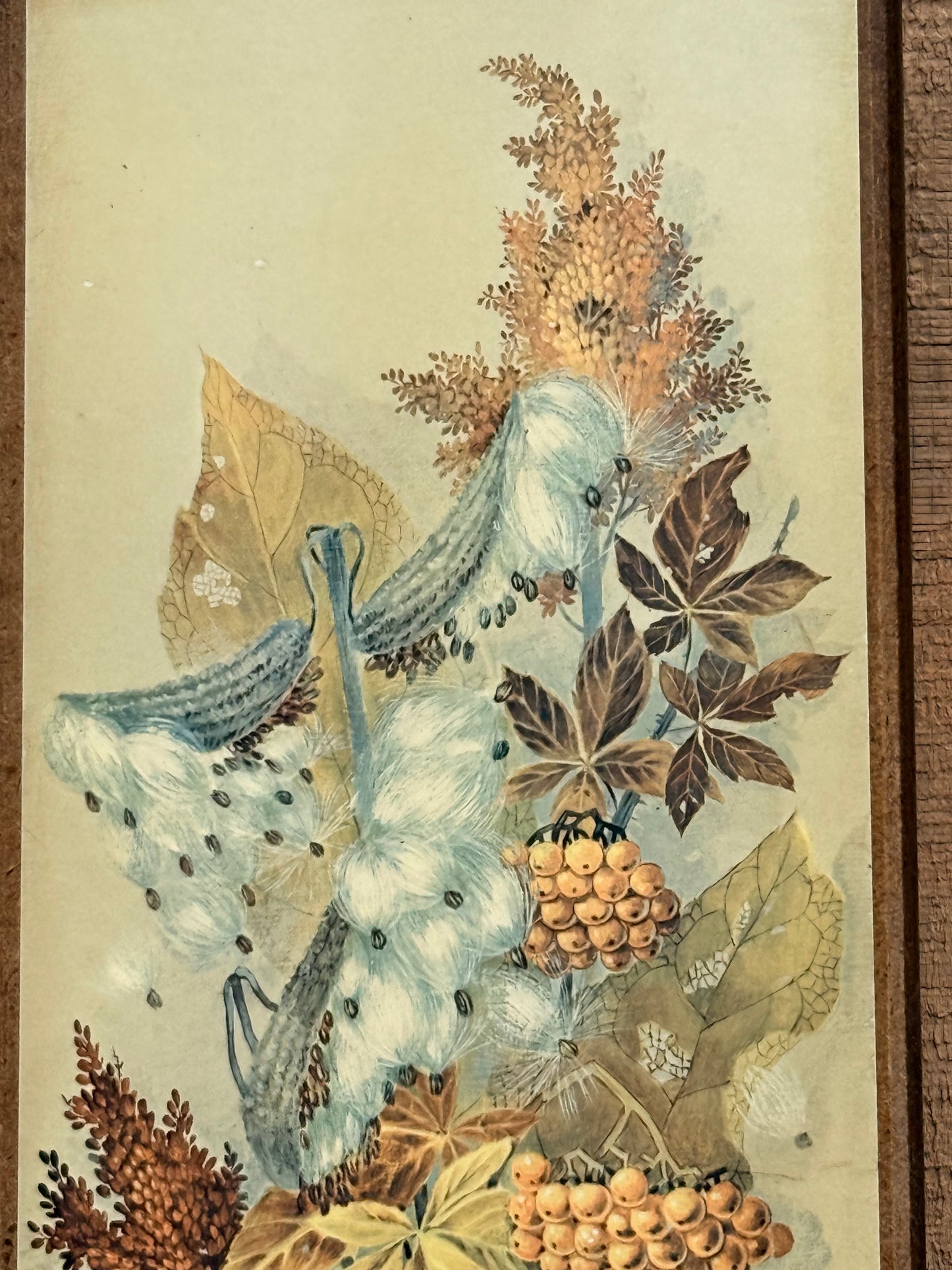 Vintage Robert Laessig Milkweed Botanical Wood Panel Print | Mid-Century Floral Wall Art