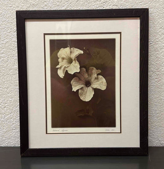 Sepia-toned Photograph of Petunias by Edward Seymour, Circa 1900
