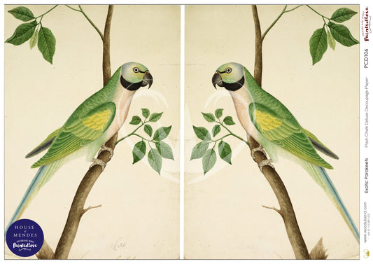Exotic Parakeets Harvest Posh Chalk Deluxe Decoupage - A3 11-3/4 x 16-1/2 in