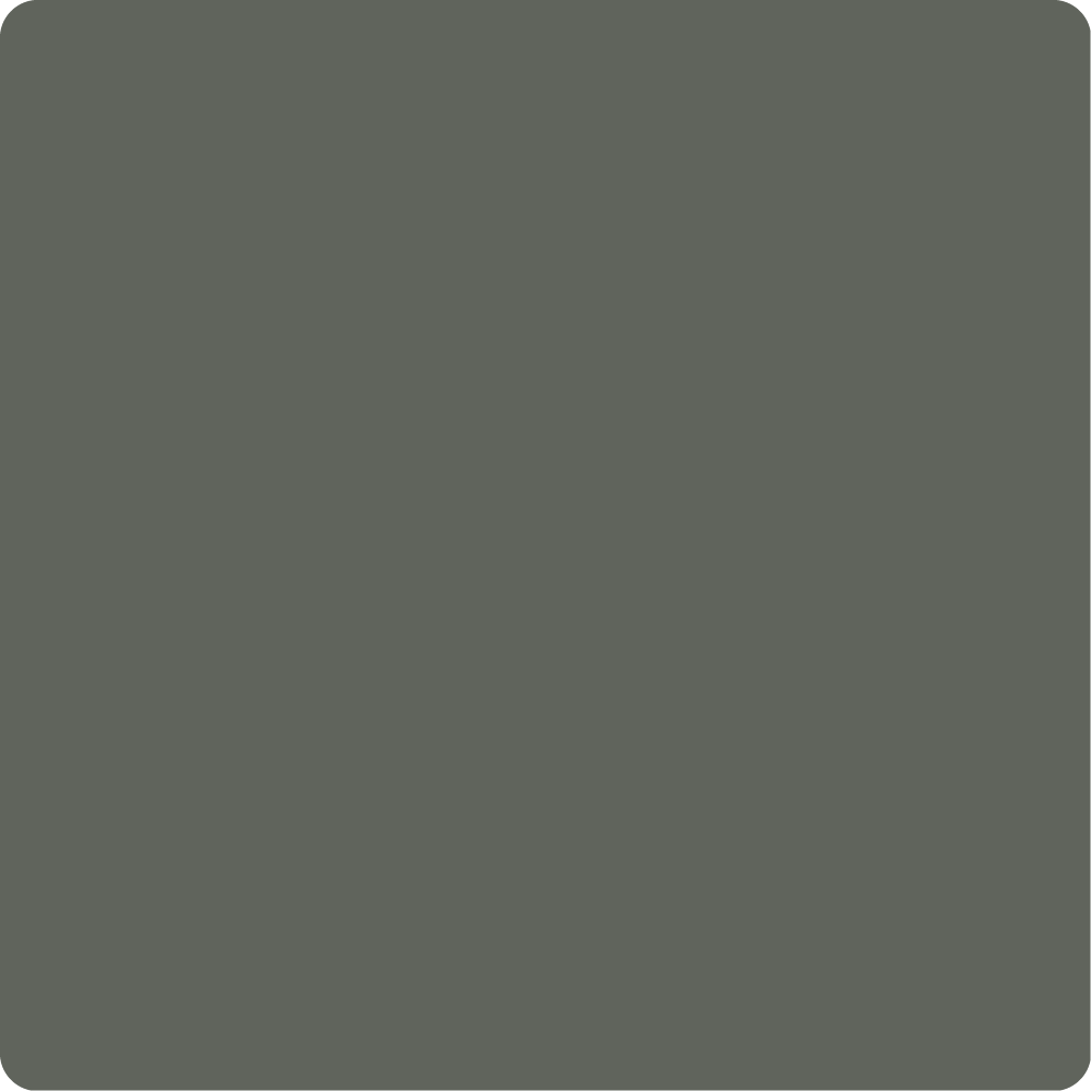 Wise Owl One Hour Enamel Paint - "New" Shade Green