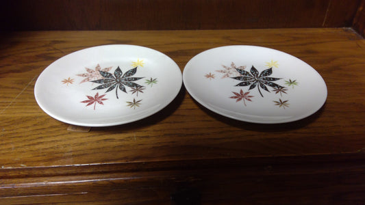 Peter Terris Vintage plates 2pc