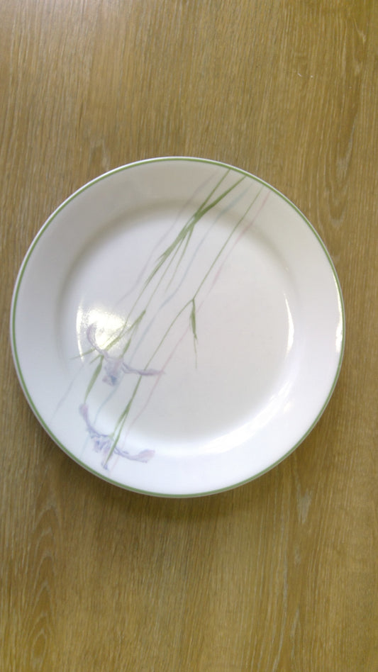 4pc Shadow Iris Plates