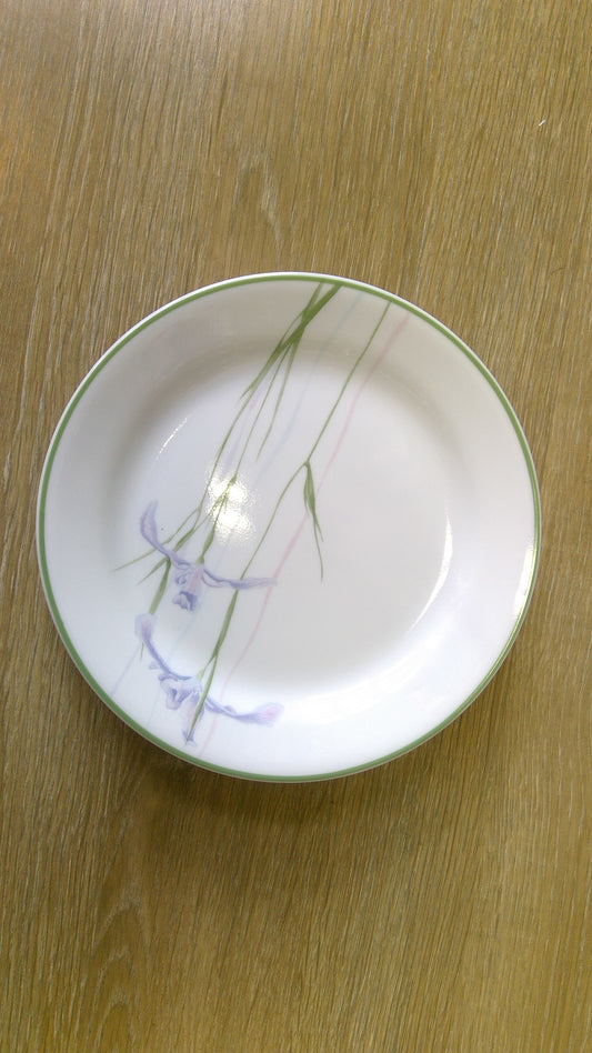 4pc Shadow Iris Salad Plates
