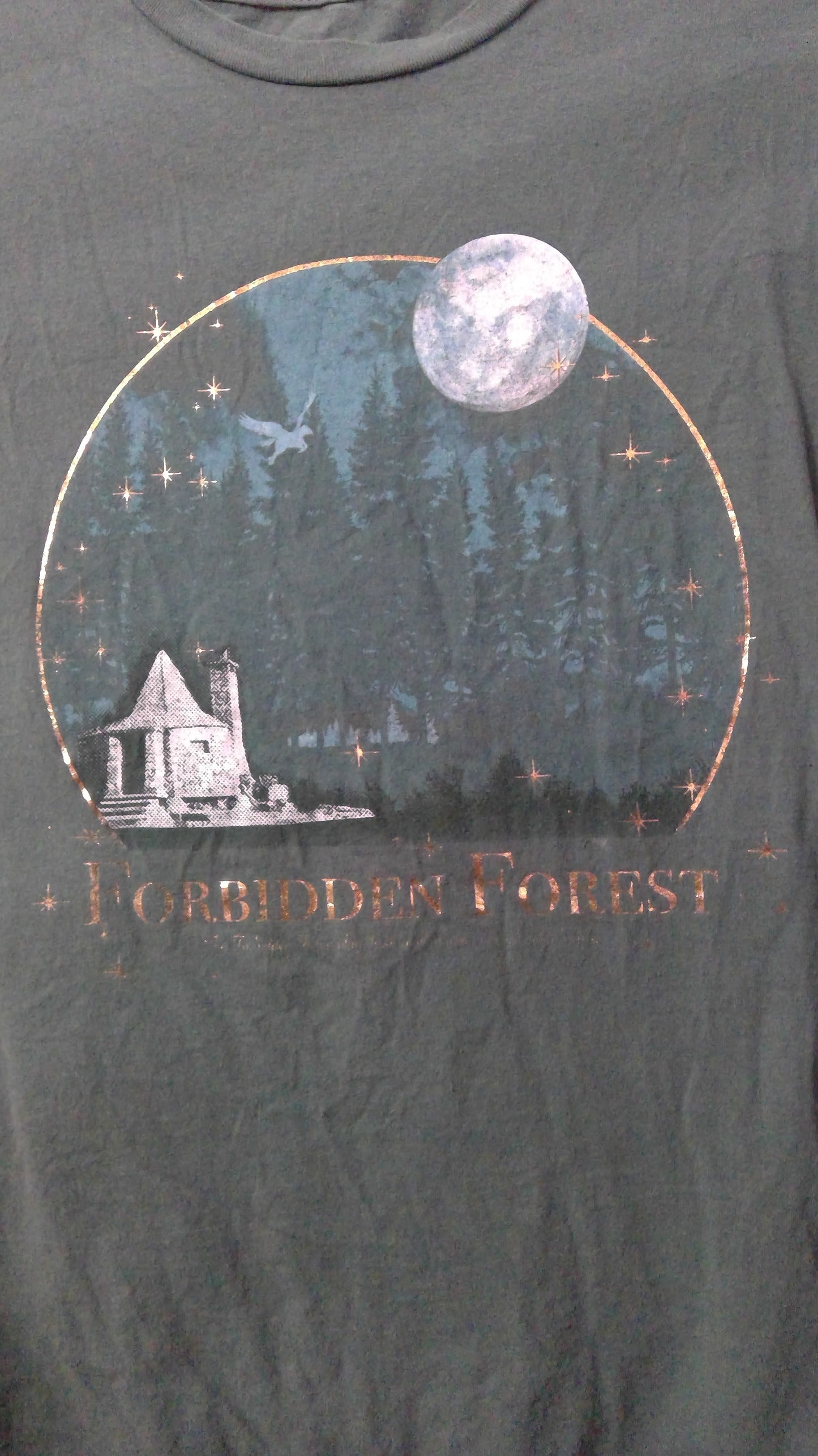Harry Potter “Forbidden Forest” Graphic T-Shirt | Official Merch | 100% Cotton | Size S