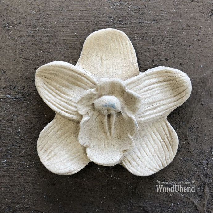 WoodUbend Pack Of Five Simple Five Petal Flowers WUB0347  1.9306 × 1.8912 in