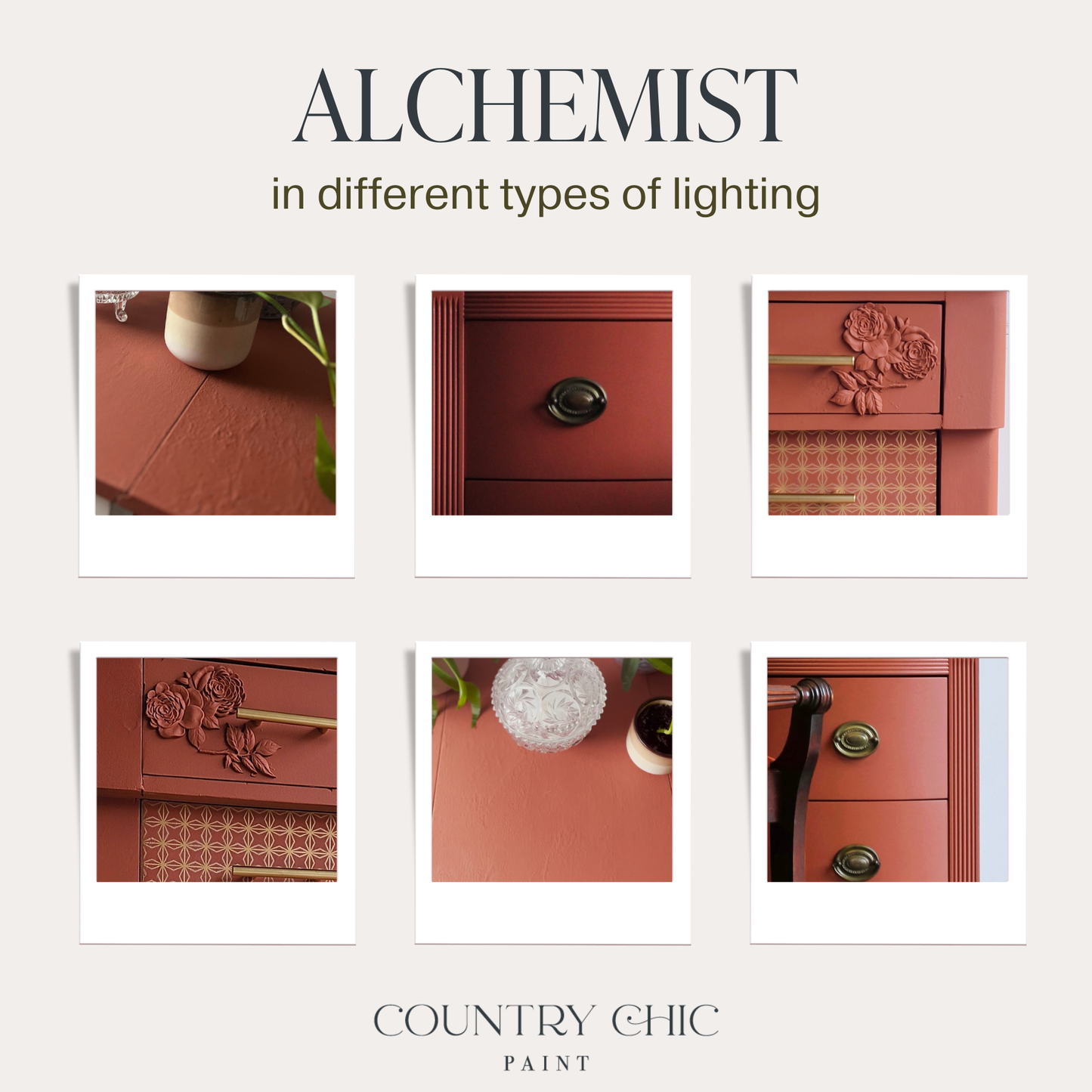 Country Chic Paint - Alchemist - Chalk Style Paint for Furniture & Home Decor: Pint (16 oz)